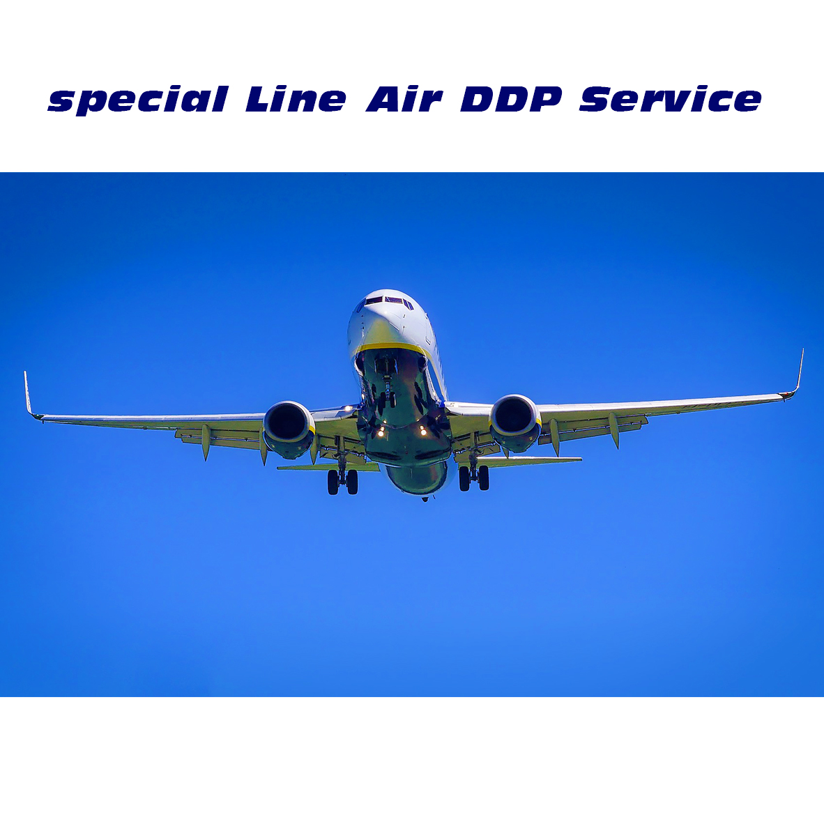 Special Line by Air: Elevating Logistics Excellence in Rapid Global Connectivity